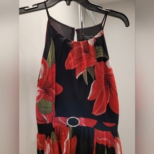Alexa B Nites maxi evening dress, size 8.